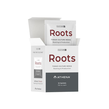 Athena Roots